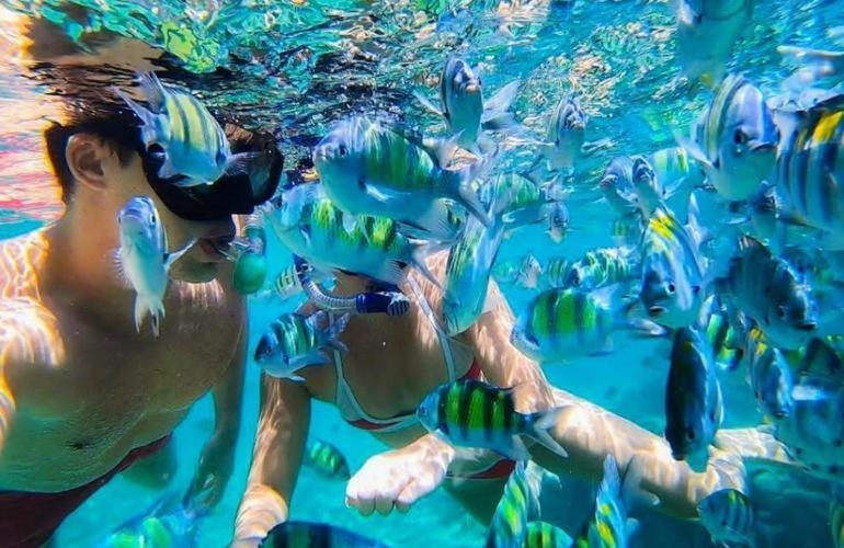 Sunrise Lagoon Homestay Nanuya Lailai Екстериор снимка